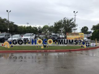 HOCO Mums Marketing